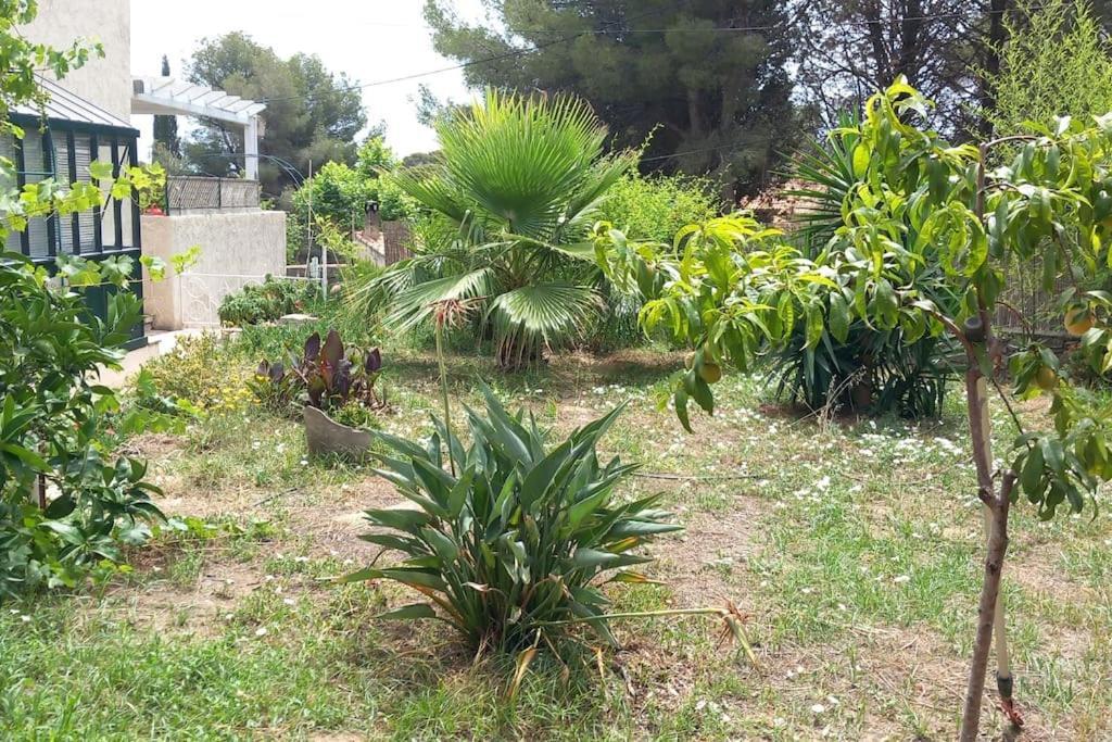 Villa Magali Grande Terrasse Vue Mer, Jardin, Proche Port La Ciotat Kültér fotó