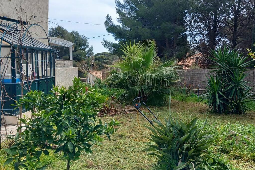 Villa Magali Grande Terrasse Vue Mer, Jardin, Proche Port La Ciotat Kültér fotó